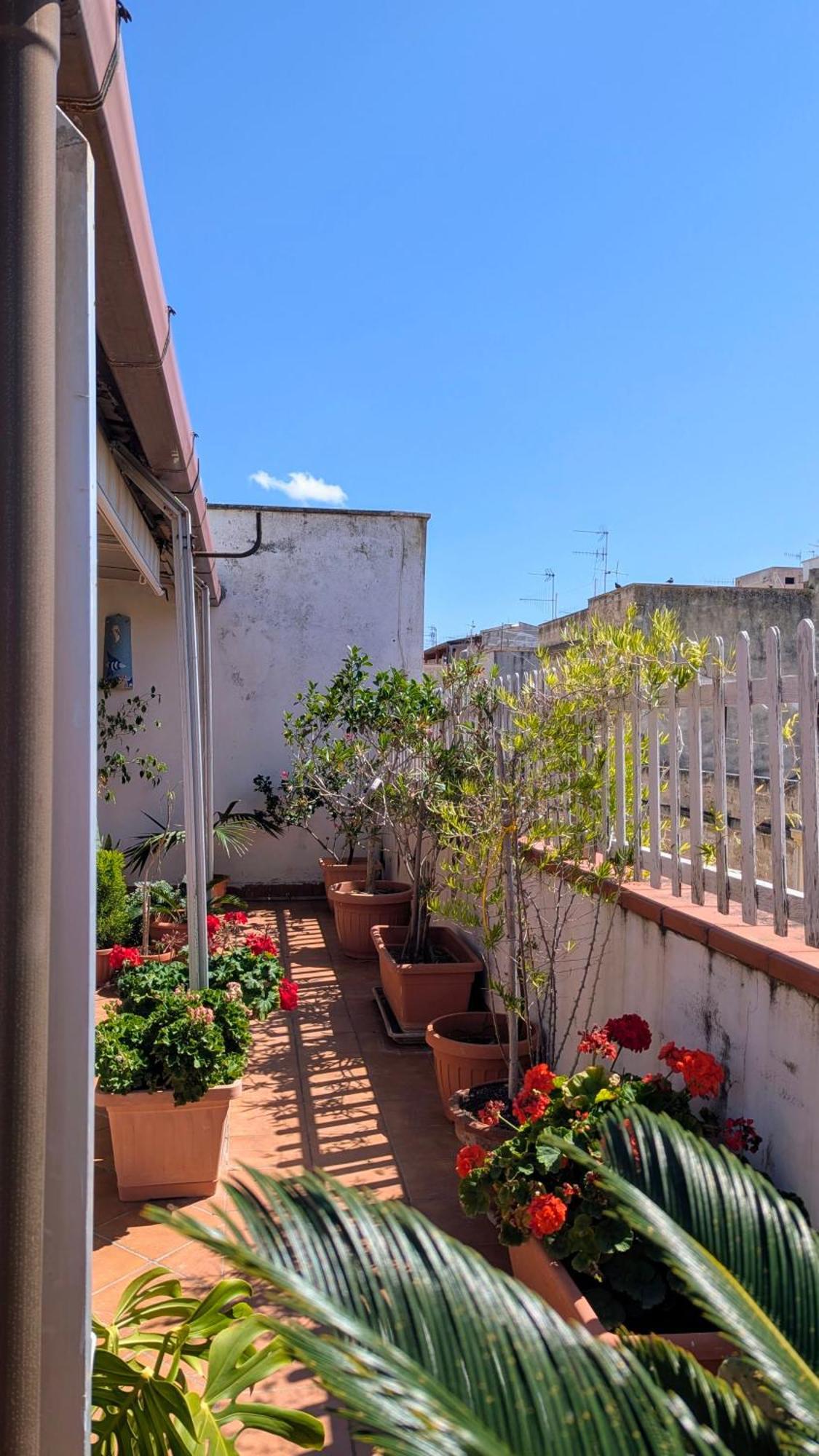 Suite Marina Trapani Esterno foto